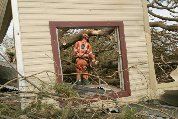 Best Tree Disease Treatment  in Tacoma, WA